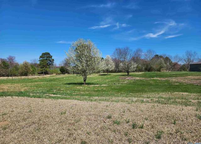 Property at Lot 0 Hwy 67, Joppa, AL 35087