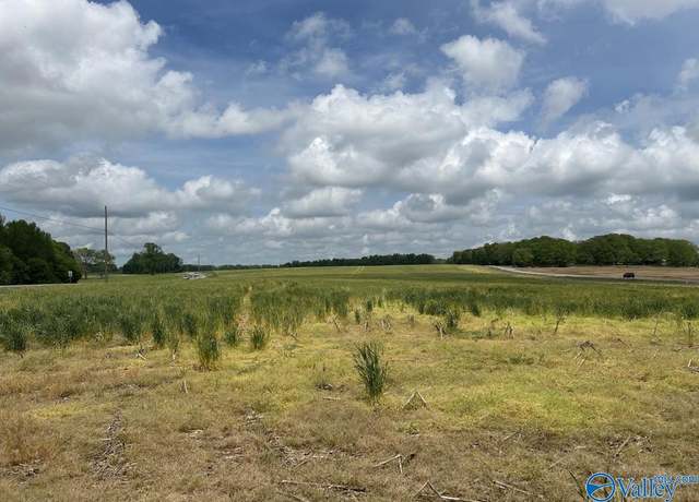 Property at 54 ACRES Hwy 207, Anderson, AL 35610