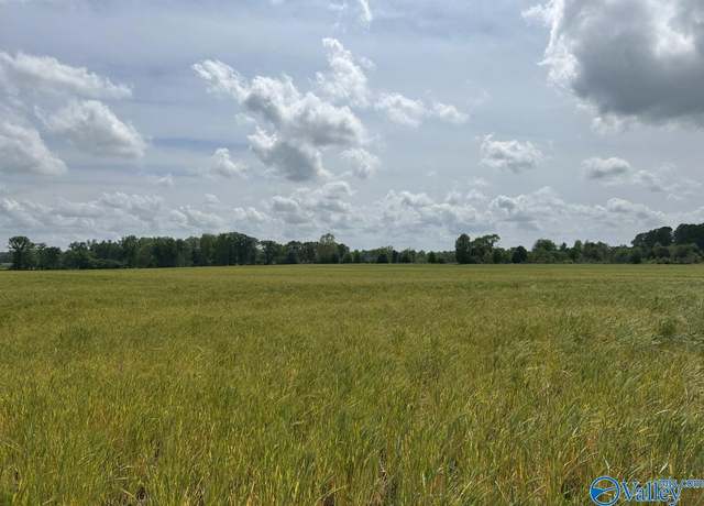 Property at 28 Acres Hwy 64, Lexington, AL 35648