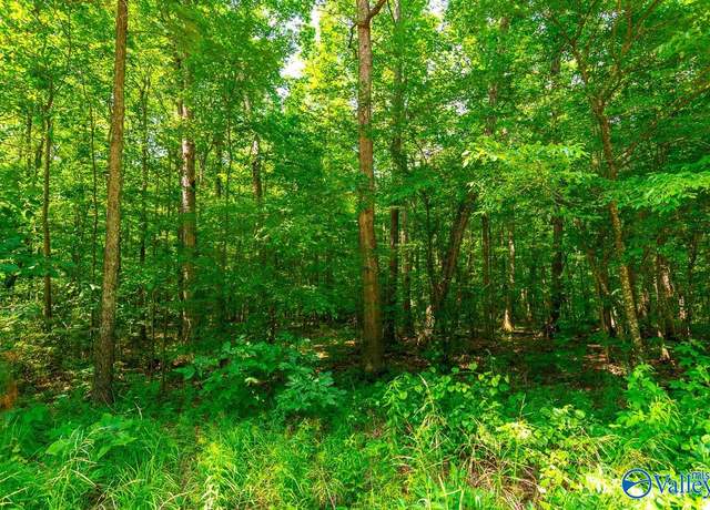 Property at Bobo Section Bobo Section Rd, Hazel Green, AL 35750