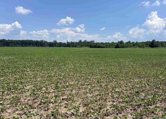 Property at 90 acres County Road 125, Moulton, AL 35650