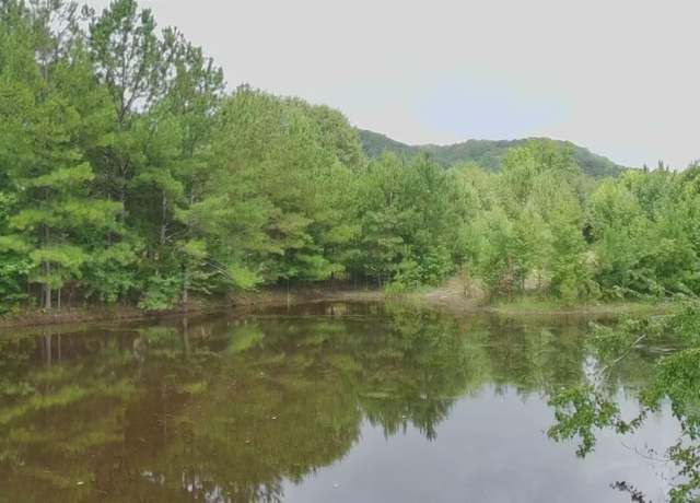 Property at 4040 County Road 131, Piedmont, AL 36272