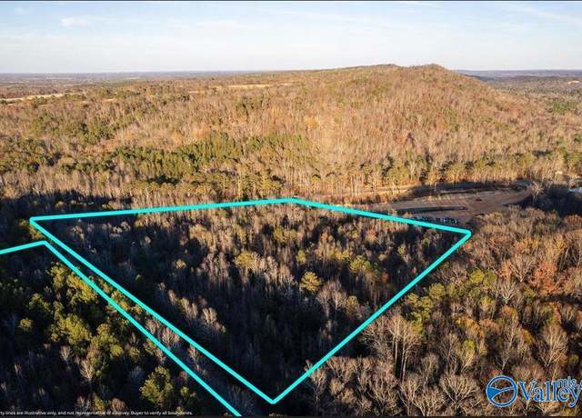 Property at 20 acres 0 County Highway 41, Altoona, AL 35952