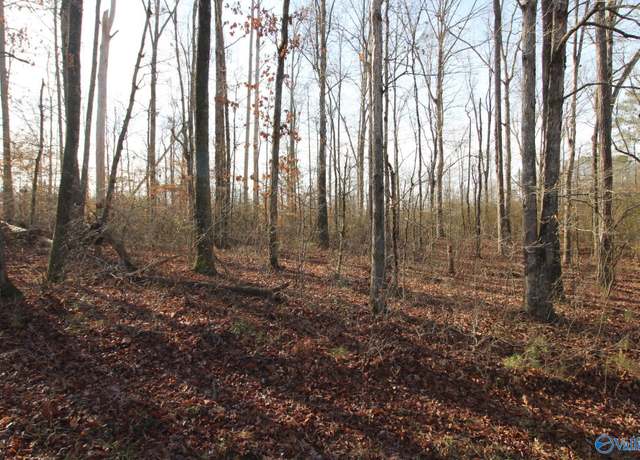 Property at TRACT A Bruce Rd, Boaz, AL 35957