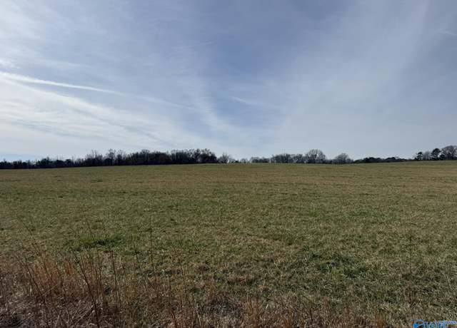Property at 40 ac County Road 131, Bryant, AL 35958