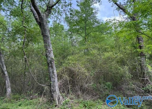 Property at * Gross Rd, Guntersville, AL 35976
