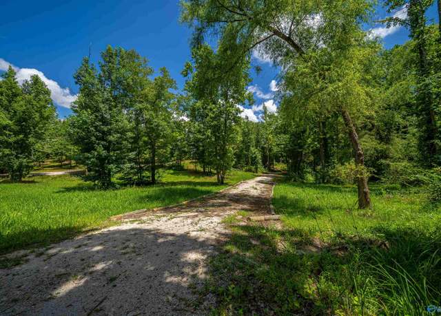 Property at 2.36 Acres County Road 336, Piedmont, AL 36272