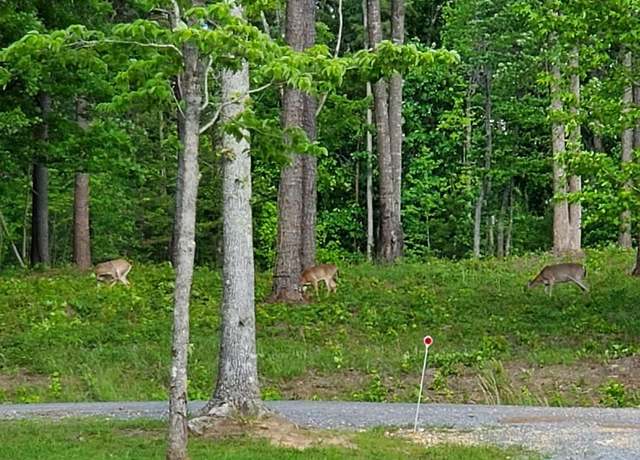 Property at 1805 County Road 103 Unit 46 , 47, Mentone, AL 35984
