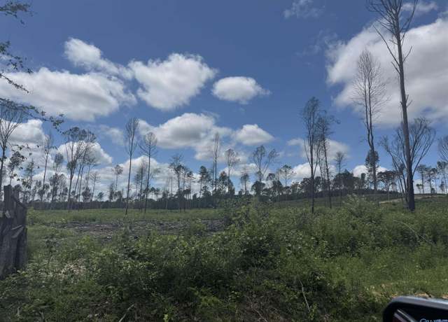 Property at Lot 13 County Road 794, Gaylesville, AL 35973