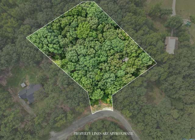 Property at lot 14 County Road 379, Trinity, AL 35673