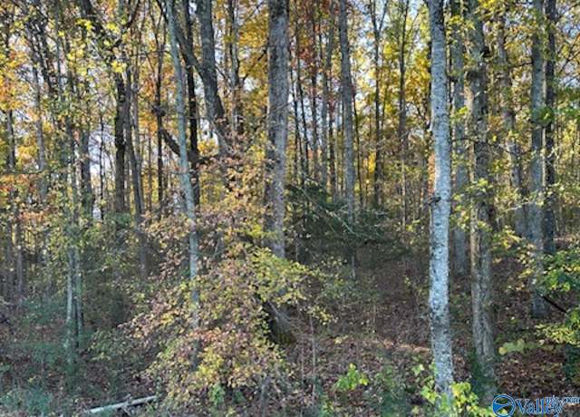 Property at 129 Price Mountain Dr S, Priceville, AL 35603