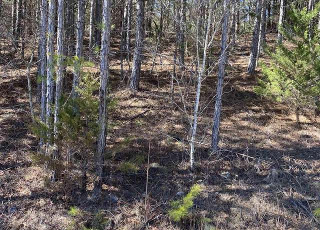 Property at Lot 3 Blk 2 Alyson Ave, Fort Payne, AL 35968