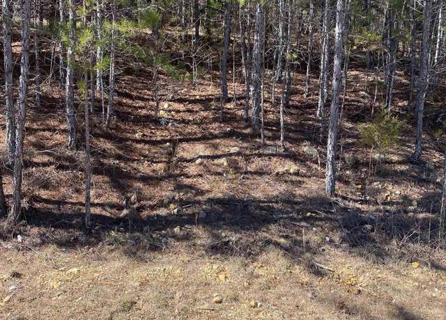 Property at Lot 2 Blk 2 Alyson Ave, Fort Payne, AL 35968