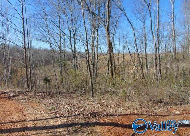 Property at 341 County Road 342, Killen, AL 35645