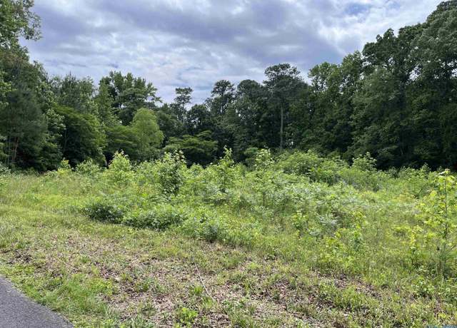 Property at Lot #13 Country Cove Rd, Crossville, AL 35962