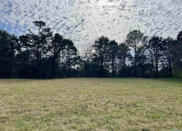 Property at Lot 3 County Road 726, Gaylesville, AL 35973