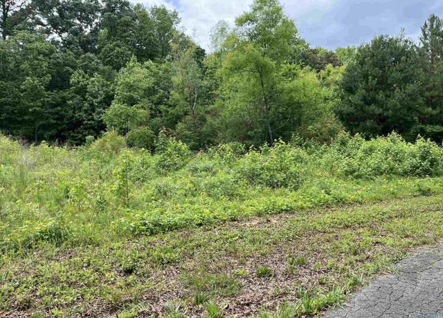 Property at lot #14 Country Cove Rd, Crossville, AL 35962