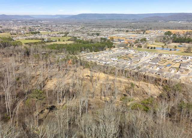 Property at 43 Acres Worley Dr, Owens Cross Roads, AL 35763