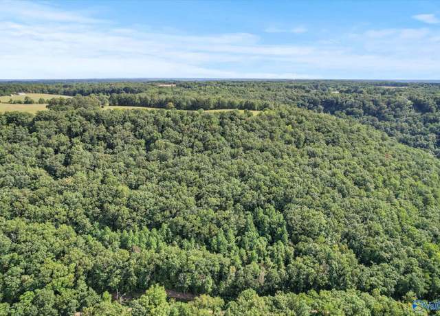 Property at 15 Shin Point Rd, Grant, AL 35760