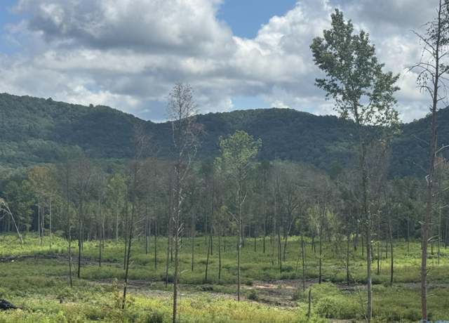 Property at Lot 15 County Road 794, Gaylesville, AL 35973