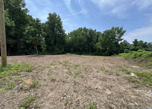Property at 0.92 acre lot George Wallace Dr E, Rainsville, AL 35986