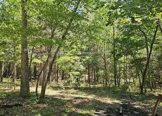 Property at 21+/- Acres County Road 361, Pisgah, AL 35765