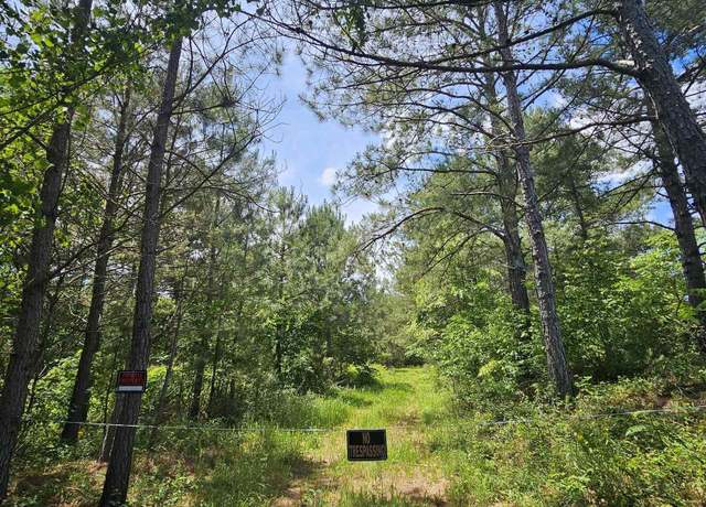 Property at Lot 3 County Road 40, Fruithurst, AL 36262