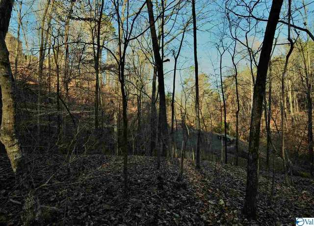 Property at 5 Northwood Trl, Gadsden, AL 35901
