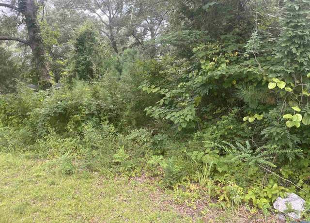 Property at Lot 18 College St, Glencoe, AL 35905
