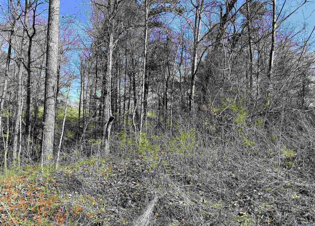 Property at A Lot 9 Cardinal Dr, Guntersville, AL 35976