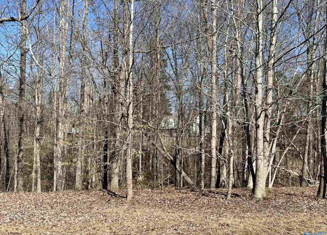 Property at LOT18 Lot 18 Deer Walk, Guntersville, AL 35976