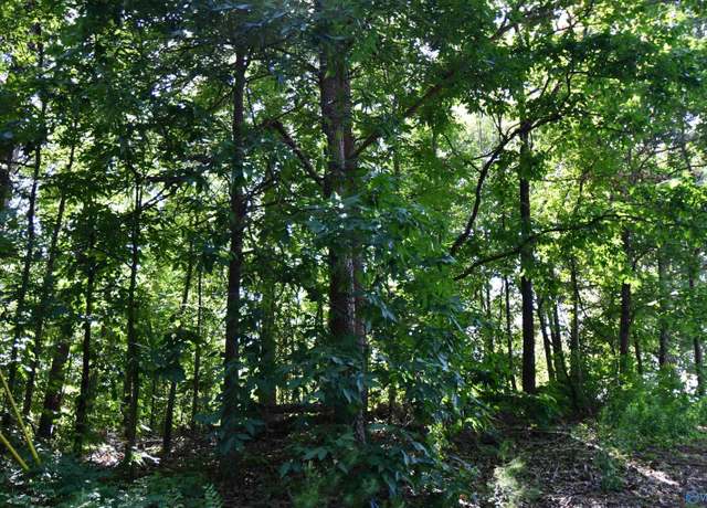 Property at 5.86 AC Scenic Hwy, Gadsden, AL 35904