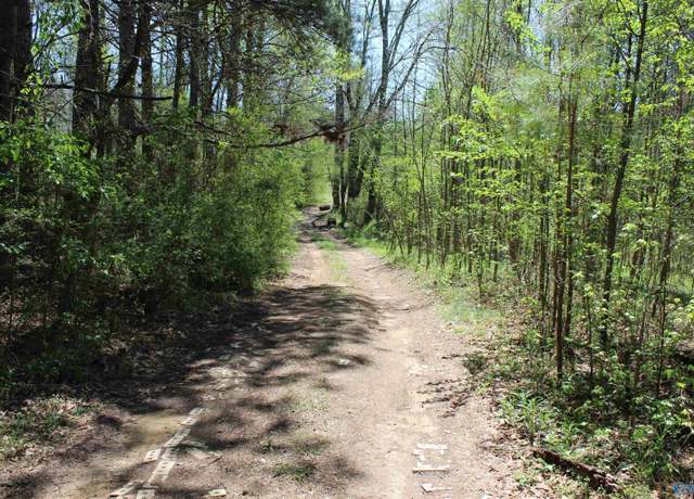 Property at 4.8 County Road 122, Fort Payne, AL 35968