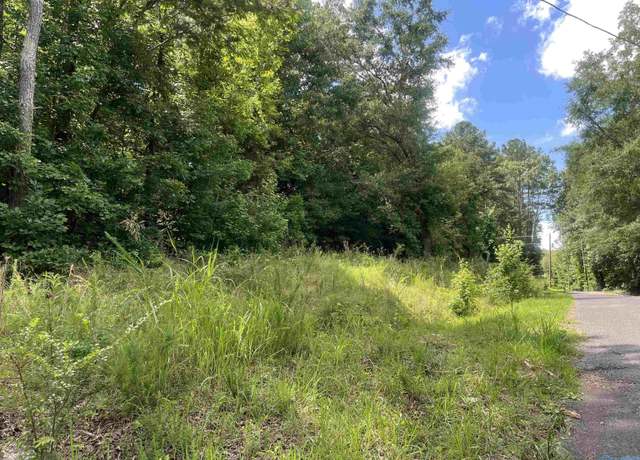 Property at 895 County Road 205, Centre, AL 35960