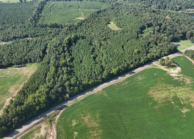 Property at 001 County Road 29, Piedmont, AL 36272