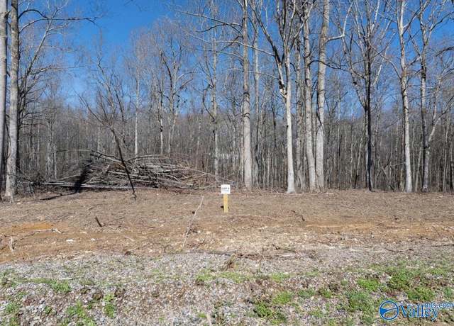 Property at Lot 7 County Road 825, Scottsboro, AL 35768