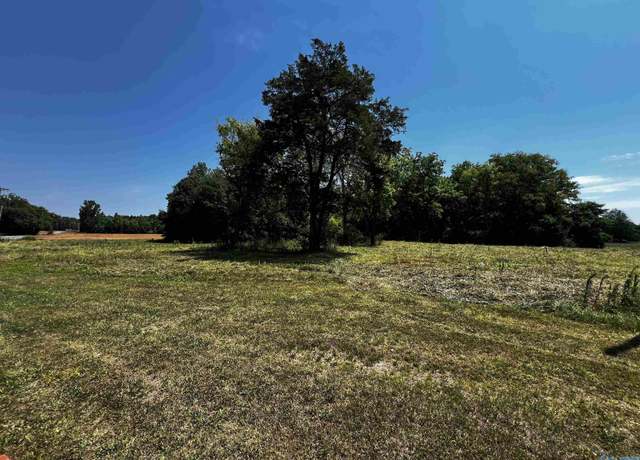 Property at 2846 County Road 343, Mount Hope, AL 35651