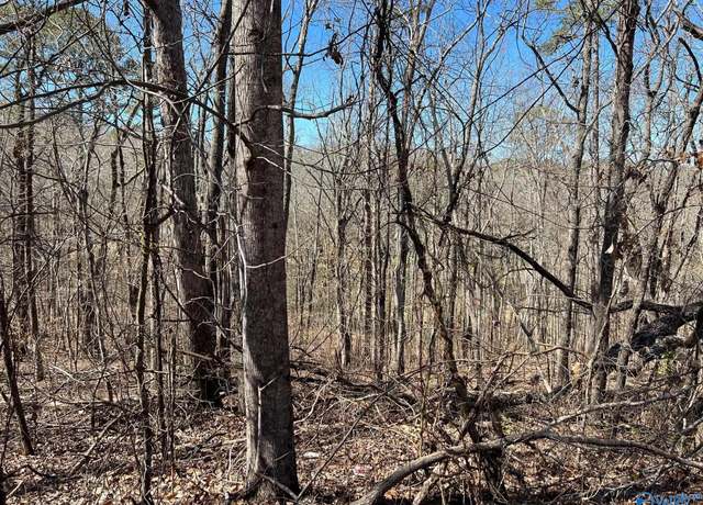 Property at 25 Greenbriar Rd, Gadsden, AL 35901