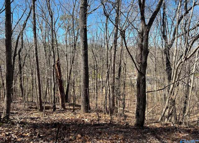Property at 26 Greenbriar Rd, Gadsden, AL 35901