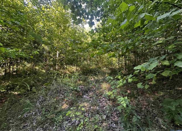 Property at 12.19 Jerry St, Fort Payne, AL 35967