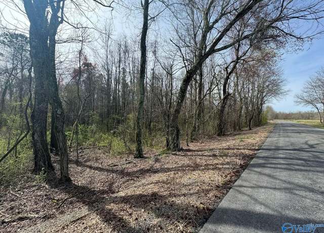 Property at 14 ACRES County Road 62, Section, AL 35771