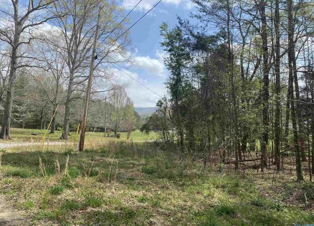 Property at Lot 7 Hickory Ln, Valley Head, AL 35989