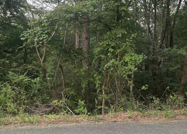 Property at 1 Berkley Hills Dr, Southside, AL 35907
