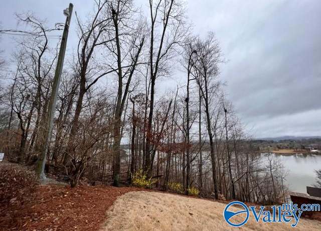 Property at .76 S Lakemont Dr N, Southside, AL 35907