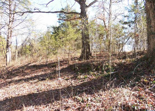 Property at 22.4 ACRES County Road 9, Moulton, AL 35650