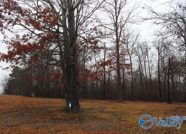 Property at 37835 Hwy 75, Fyffe, AL 35971