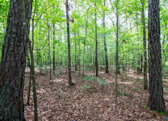 Property at 1.6 Norris Mill Rd, Hartselle, AL 35640