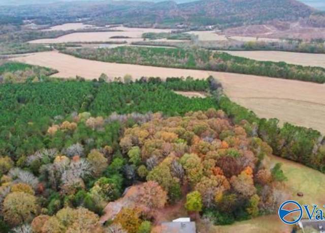 Property at 21.5 acres +/- County Road 91, Gaylesville, AL 35973