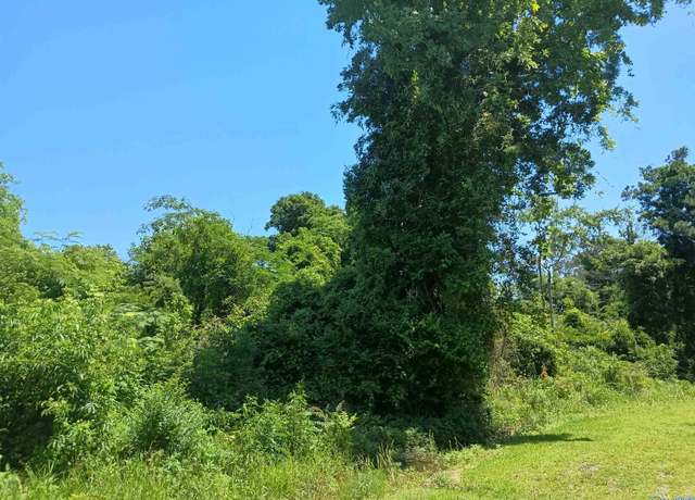 Property at 110 Morgan St, Gadsden, AL 35904