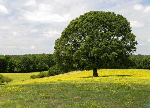 Property at 120.5 Acres County Road 974, Logan, AL 35098